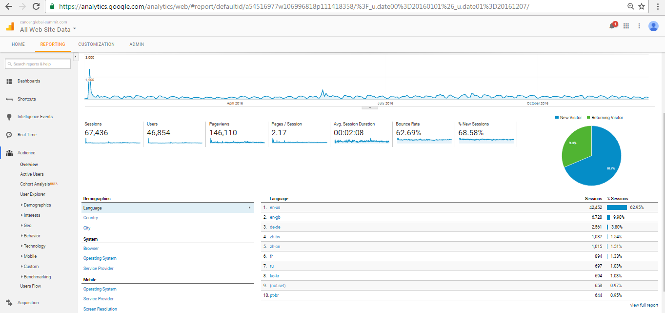 Visitor Analysis Report